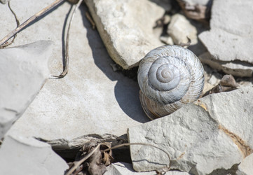 Similar image 22311855