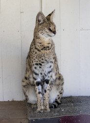 Similar image 22311857