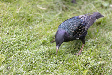 Similar image 22308662