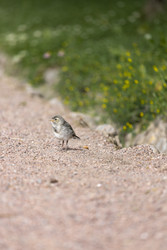 Similar image 22311860