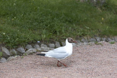 Similar image 22308664