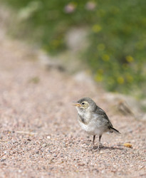 Similar image 22308665