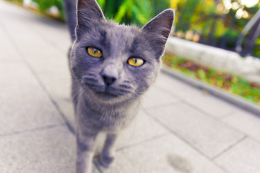 Similar image 22308667