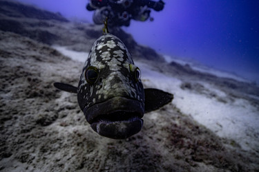 Similar image 22311371