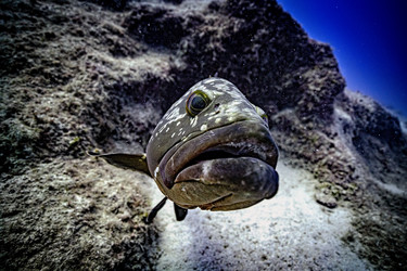 Similar image 22311372