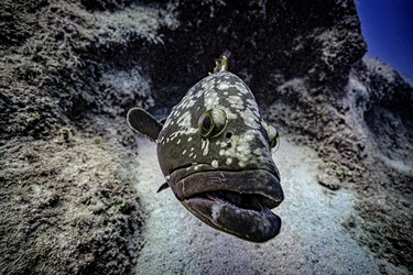 Similar image 22311384