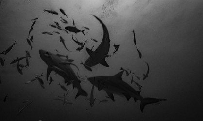 Similar image 22311385