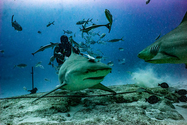 Similar image 22311386