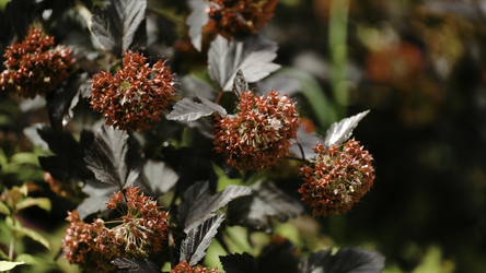 Similar image 22328721