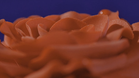 Similar image 22328726