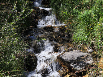 Similar image 22311926