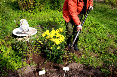 Similar image 22316327