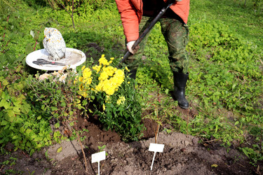 Similar image 22316331