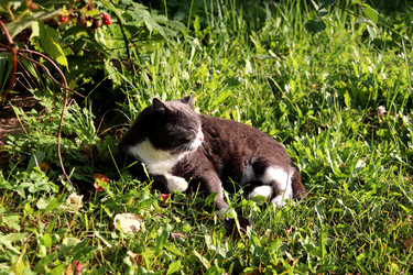 Similar image 22316332