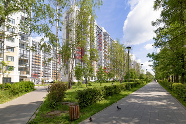 Similar image 22320041