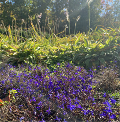 Similar image 22311928