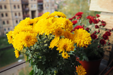 Similar image 22315583