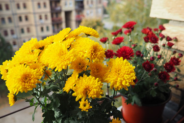 Similar image 22315584