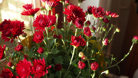 Similar image 22315586