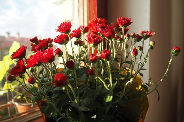 Similar image 22315587