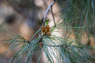 Similar image 22311786