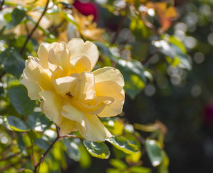 Similar image 22311787