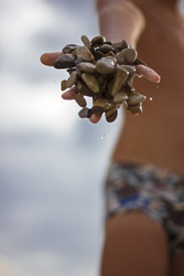 Similar image 22311788