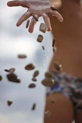 Similar image 22311790