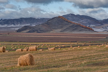 Similar image 22316933