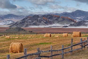 Similar image 22316934