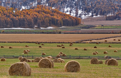 Similar image 22316935