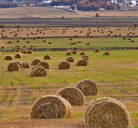 Similar image 22316936