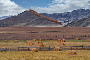 Similar image 22316937