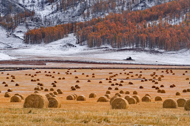 Similar image 22316938