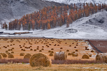 Similar image 22316939