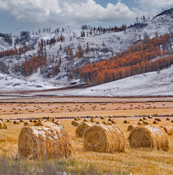 Similar image 22316940