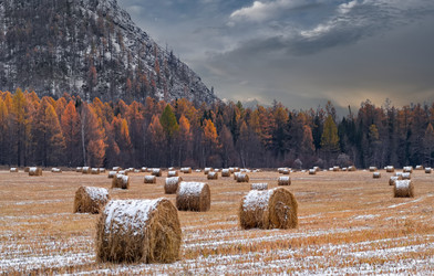 Similar image 22316941