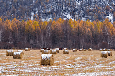 Similar image 22316942