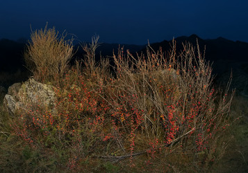 Similar image 22316958