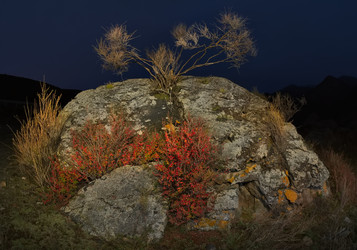 Similar image 22316960