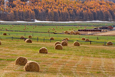 Similar image 22316961