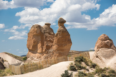 Similar image 22312245