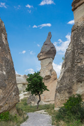 Similar image 22312249