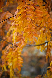 Similar image 22317093