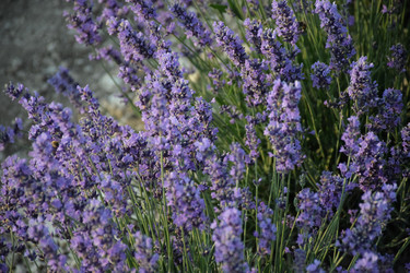 Similar image 22311934