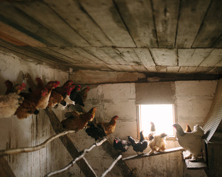 Similar image 22315826