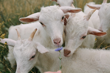 Similar image 22315827