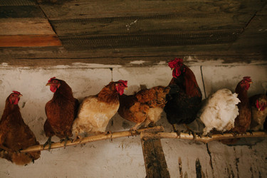 Similar image 22315828