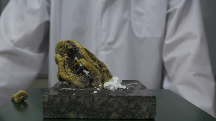 Similar image 22329339