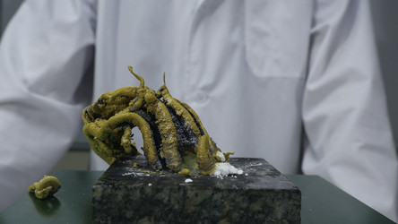 Similar image 22329346